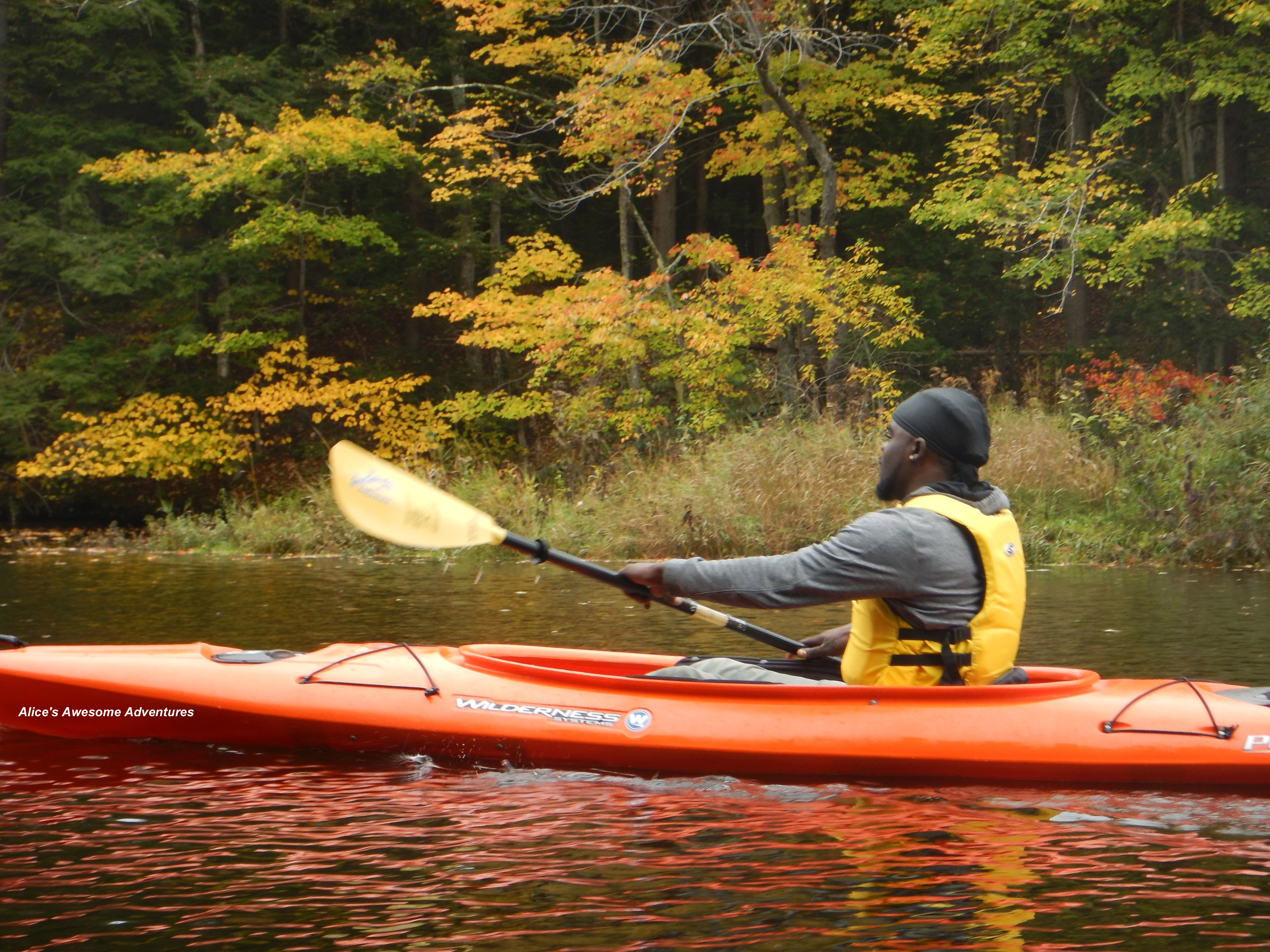 Sea kayaking with fall folliage